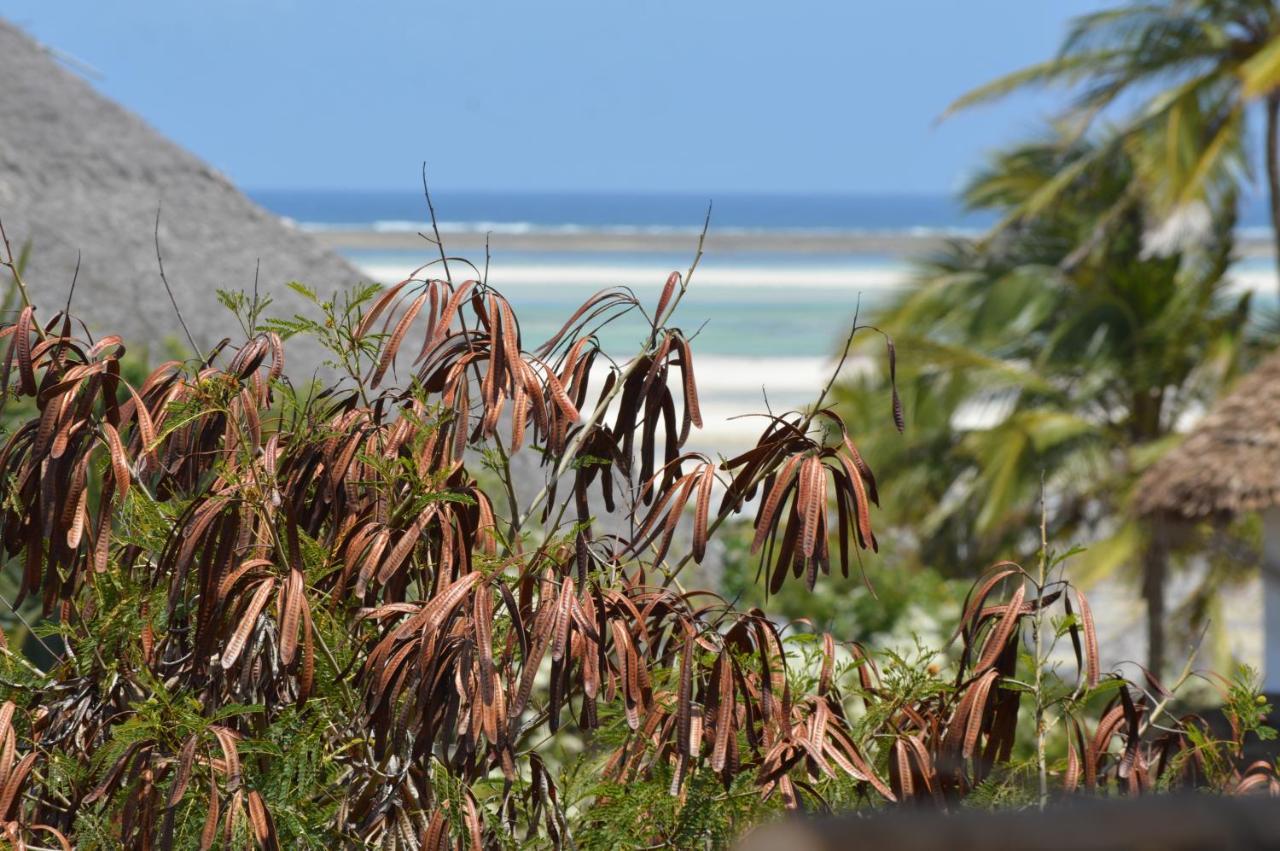 Pole Pole Beach House Watamu Kültér fotó