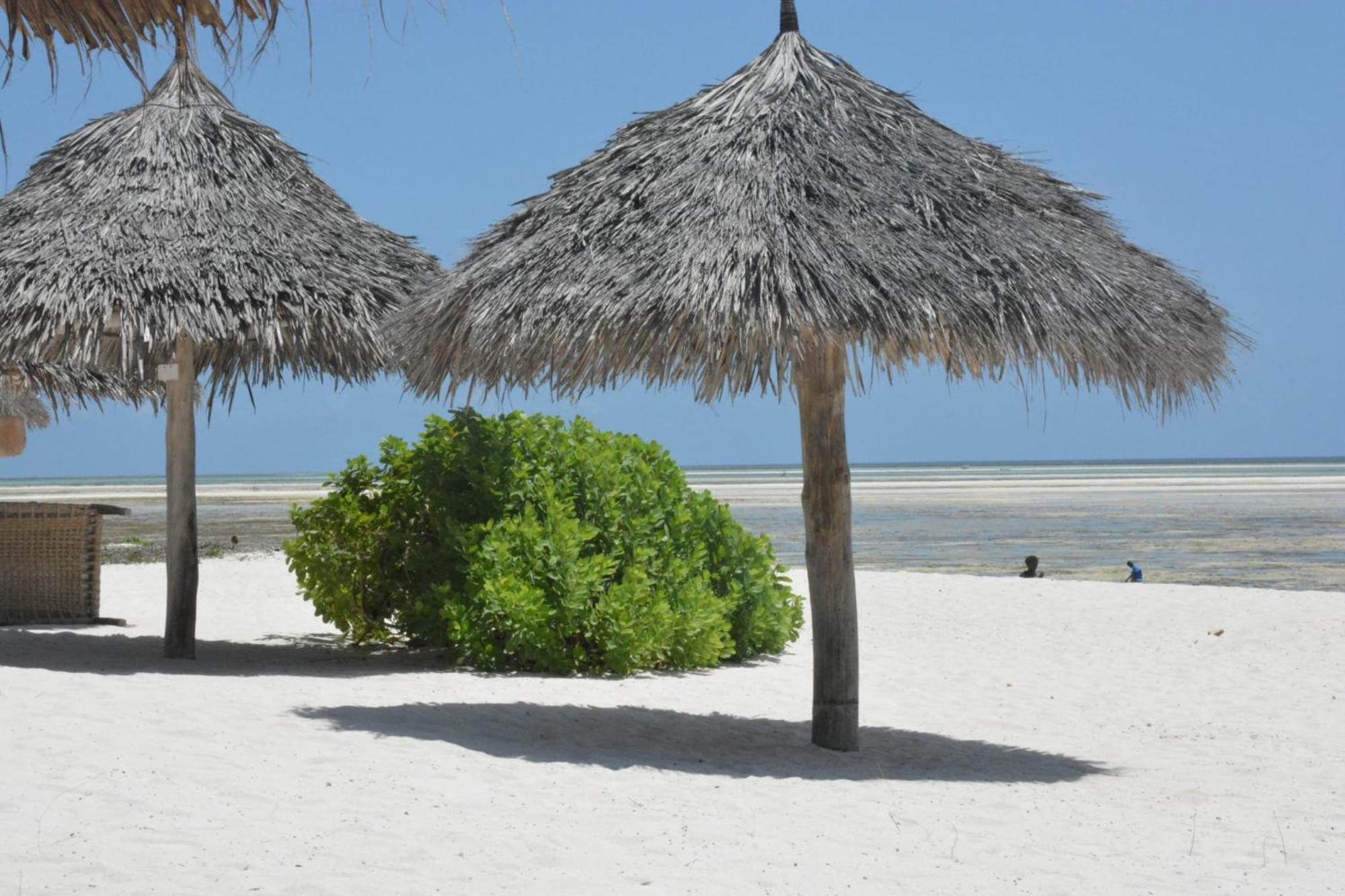 Pole Pole Beach House Watamu Kültér fotó